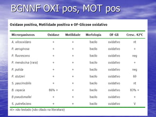 BGNNF OXI pos, MOT pos, H2S pos e Dnase pos