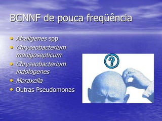 BGNNF de pouca freqüência Alcaligenes sppChryseobacterium menigosepticumChryseobacterium indologenesMoraxellaOutras Pseudomonas