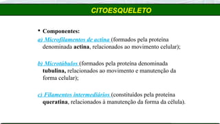 CITOESQUELETO
 Componentes:
a) Microfilamentos de actina (formados pela proteína
denominada actina, relacionados ao movimento celular);
b) Microtúbulos (formados pela proteína denominada
tubulina, relacionados ao movimento e manutenção da
forma celular);
c) Filamentos intermediários (constituídos pela proteína
queratina, relacionados à manutenção da forma da célula).
 