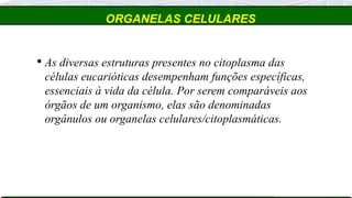 ORGANELAS CELULARES
 As diversas estruturas presentes no citoplasma das
células eucarióticas desempenham funções específicas,
essenciais à vida da célula. Por serem comparáveis aos
órgãos de um organismo, elas são denominadas
orgânulos ou organelas celulares/citoplasmáticas.
 