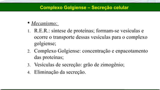  Mecanismo:
1. R.E.R.: síntese de proteínas; formam-se vesículas e
ocorre o transporte dessas vesículas para o complexo
golgiense;
2. Complexo Golgiense: concentração e enpacotamento
das proteínas;
3. Vesículas de secreção: grão de zimogênio;
4. Eliminação da secreção.
Complexo Golgiense – Secreção celular
 
