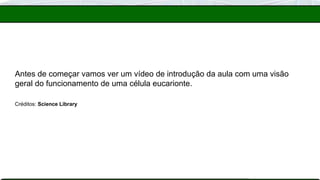 Antes de começar vamos ver um vídeo de introdução da aula com uma visão
geral do funcionamento de uma célula eucarionte.
Créditos: Science Library
 