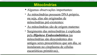 Mitocôndrias
 Algumas observações importantes:
• As mitocôndrias possuem DNA próprio,
ou seja, elas são originadas de
mitocôndrias pré-existentes;
• As mitocôndrias são de origem materna;
• Surgimento das mitocôndrias é explicada
pela Hipótese Endossimbiótica (as
mitocôndrias são descendentes dos
antigos seres procarióticos que um dia, se
instalaram no citoplasma de células
eucarióticas primitivas).
 