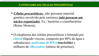 O CITOPLASMA DAS CÉLULAS PROCARIÓTICAS
 Células procarióticas: não possuem material
genético envolvido pela carioteca (não possuem um
núcleo organizado). Ex.: bactérias e cianobactérias
(Reino Monera);
 O citoplasma das células procarióticas é formado por
citosol (líquido viscoso, composto por 80% de água e
substâncias), moléculas de DNA (nucleóide) e
milhares de ribossomos (síntese de proteínas).
 