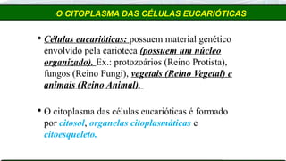 O CITOPLASMA DAS CÉLULAS EUCARIÓTICAS
 Células eucarióticas: possuem material genético
envolvido pela carioteca (possuem um núcleo
organizado). Ex.: protozoários (Reino Protista),
fungos (Reino Fungi), vegetais (Reino Vegetal) e
animais (Reino Animal).
 O citoplasma das células eucarióticas é formado
por citosol, organelas citoplasmáticas e
citoesqueleto.
 