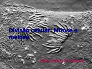Divisão celular: Mitose e
meiose
Profa. Marcia M Pedroso
 