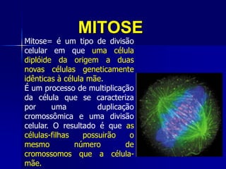MITOSE
Mitose= é um tipo de divisão
celular em que uma célula
diplóide da origem a duas
novas células geneticamente
idênticas à célula mãe.
É um processo de multiplicação
da célula que se caracteriza
por uma duplicação
cromossômica e uma divisão
celular. O resultado é que as
células-filhas possuirão o
mesmo número de
cromossomos que a célula-
mãe.
 