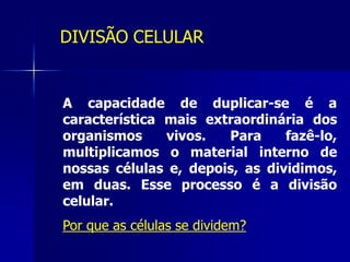 DIVISÃO CELULAR
A capacidade de duplicar-se é a
característica mais extraordinária dos
organismos vivos. Para fazê-lo,
multiplicamos o material interno de
nossas células e, depois, as dividimos,
em duas. Esse processo é a divisão
celular.
Por que as células se dividem?
 