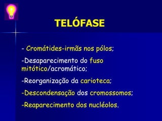 TELÓFASE
- Cromátides-irmãs nos pólos;
-Desaparecimento do fuso
mitótico/acromático;
-Reorganização da carioteca;
-Descondensação dos cromossomos;
-Reaparecimento dos nucléolos.
 