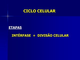 CICLO CELULAR
ETAPAS
INTÉRFASE + DIVISÃO CELULAR
 