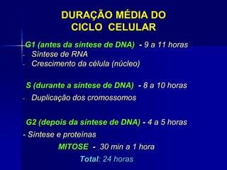 DURAÇÃO MÉDIA DO
CICLO CELULAR
G1 (antes da síntese de DNA) - 9 a 11 horas
- Síntese de RNA
- Crescimento da célula (núcleo)
S (durante a síntese de DNA) - 8 a 10 horas
- Duplicação dos cromossomos
G2 (depois da síntese de DNA) - 4 a 5 horas
- Síntese e proteínas
MITOSE - 30 min a 1 hora
Total: 24 horas
 