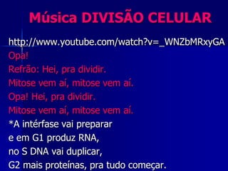 Música DIVISÃO CELULAR
http://www.youtube.com/watch?v=_WNZbMRxyGA
Opa!
Refrão: Hei, pra dividir.
Mitose vem aí, mitose vem aí.
Opa! Hei, pra dividir.
Mitose vem aí, mitose vem aí.
*A intérfase vai preparar
e em G1 produz RNA,
no S DNA vai duplicar,
G2 mais proteínas, pra tudo começar.
 