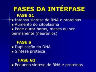 FASES DA INTÉRFASE
FASE G1
 Intensa síntese de RNA e proteínas
 Aumento do citoplasma
 Pode durar horas, meses ou ser
permanente (neurônios)
FASE S
 Duplicação do DNA
 Síntese proteica
FASE G2
 Pequena síntese de RNA e proteínas
 