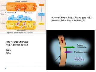 PHs = Força a filtração
POp = Sentido oposto
PHm
POm
Arterial: PHs > POp – Plasma para MEC
Venoso: PHs < Pop – Reabsorção
 