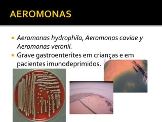 AEROMONASAeromonas hydrophila, Aeromonas caviae y Aeromonas veronii.Grave gastroenterites em crianças e em pacientes imunodeprimidos. 