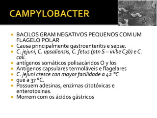 CAMPYLOBACTERBACILOS GRAM NEGATIVOS PEQUENOS COM UM FLAGELO POLARCausa principalmente gastroenteritis e sepse.C. jejuni, C. upsaliensis, C. fetus (ptn S – inibe C3b) e C. coli.antígenos somáticos polisacáridos O y losAntígenos capsulares termoláveis e flagelaresC. jejunicrescecon mayor facilidadea 42 °Cque a 37 °C.Possuem adesinas, enzimas citotóxicas e enterotoxinas.Morrem com os ácidos gástricos