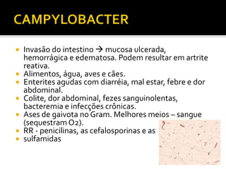 CAMPYLOBACTERInvasão do intestino  mucosa ulcerada, hemorrágica e edematosa. Podem resultar em artrite reativa.Alimentos, água, aves e cães.Enterites agudas comdiarréia, mal estar, febre e dor abdominal.Colite,dor abdominal, fezes sanguinolentas, bacteremia e infecções crônicas.Ases de gaivota no Gram. Melhores meios – sangue (sequestram O2).RR - penicilinas, as cefalosporinas e assulfamidas