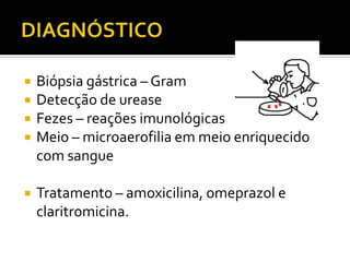 DIAGNÓSTICOBiópsia gástrica – GramDetecção de ureaseFezes – reações imunológicasMeio – microaerofilia em meio enriquecido com sangueTratamento – amoxicilina, omeprazol e claritromicina.