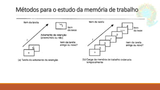 Métodos para o estudo da memória de trabalho
 