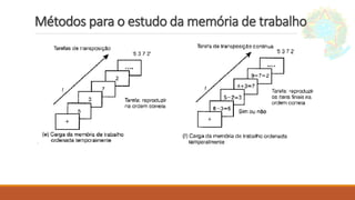Métodos para o estudo da memória de trabalho
 