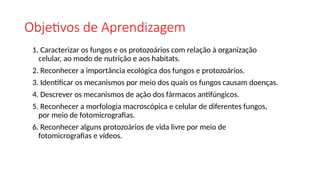 Objetivos de Aprendizagem
1. Caracterizar os fungos e os protozoários com relação à organização
celular, ao modo de nutrição e aos habitats.
2. Reconhecer a importância ecológica dos fungos e protozoários.
3. Identificar os mecanismos por meio dos quais os fungos causam doenças.
4. Descrever os mecanismos de ação dos fármacos antifúngicos.
5. Reconhecer a morfologia macroscópica e celular de diferentes fungos,
por meio de fotomicrografias.
6. Reconhecer alguns protozoários de vida livre por meio de
fotomicrografias e vídeos.
 