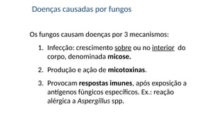 Doenças causadas por fungos
Os fungos causam doenças por 3 mecanismos:
1. Infecção: crescimento sobre ou no interior do
corpo, denominada micose.
2. Produção e ação de micotoxinas.
3. Provocam respostas imunes, após exposição a
antígenos fúngicos específicos. Ex.: reação
alérgica a Aspergillus spp.
 