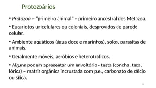 34
Protozoários
• Protozoa = “primeiro animal” = primeiro ancestral dos Metazoa.
• Eucariotos unicelulares ou coloniais, desprovidos de parede
celular.
• Ambiente aquáticos (água doce e marinhos), solos, parasitas de
animais.
• Geralmente móveis, aeróbios e heterotróficos.
• Alguns podem apresentar um envoltório - testa (concha, teca,
lórica) – matriz orgânica incrustada com p.e., carbonato de cálcio
ou sílica.
 