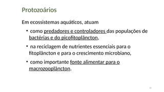 35
Protozoários
Em ecossistemas aquáticos, atuam
• como predadores e controladores das populações de
bactérias e do picofitoplâncton,
• na reciclagem de nutrientes essenciais para o
fitoplâncton e para o crescimento microbiano,
• como importante fonte alimentar para o
macrozooplâncton.
 