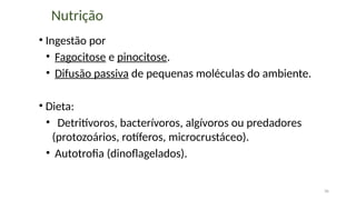 36
Nutrição
• Ingestão por
• Fagocitose e pinocitose.
• Difusão passiva de pequenas moléculas do ambiente.
• Dieta:
• Detritívoros, bacterívoros, algívoros ou predadores
(protozoários, rotíferos, microcrustáceo).
• Autotrofia (dinoflagelados).
 