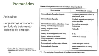 Aplicações:
- organismos indicadores
em lodo de tratamento
biológico de despejos.
Vazoller, R.F. et al. Microbiologia de lodos
anaeróbios. Série Manuais. São Paulo: CETESB,
1989.
Protozoários
 