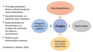 Fungos
Decompositores
Biotecnologia
Associações
com outros
organismos
Patógenos
humanos e
vegetais
 Os fungos participam
direta e indiretamente da
nossa alimentação.
 São determinantes na
saúde do solo e da planta.
 Estão envolvidos na
fermentação e na
ciclagem de nutrientes
em todos os
ecossistemas.
 Podem causar
deterioração e doenças.
(Carbonero e Strobel, 2021)
 