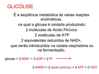 É a seqüência metabólica de várias reações
enzimáticas,
na qual a glicose é oxidada produzindo:
2 moléculas de Ácido Pirúvico
2 moléculas de ATP
2 equivalentes reduzidos de NAD+,
que serão introduzidos na cadeia respiratória ou
na fermentação.
GLICÓLISE
glicose + 2 NAD+ + 2 ADP + 2 Pi
2 NADH + 2 ácido pirúvico + 2 ATP + 2 H2O
 