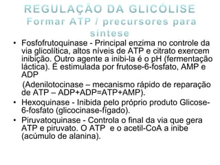 • Fosfofrutoquinase - Principal enzima no controle da
via glicolítica, altos níveis de ATP e citrato exercem
inibição. Outro agente a inibi-la é o pH (fermentação
láctica). É estimulada por frutose-6-fosfato, AMP e
ADP
(Adenilotocinase – mecanismo rápido de reparação
de ATP – ADP+ADP=ATP+AMP).
• Hexoquinase - Inibida pelo próprio produto Glicose-
6-fosfato (glicocinase-fígado).
• Piruvatoquinase - Controla o final da via que gera
ATP e piruvato. O ATP e o acetil-CoA a inibe
(acúmulo de alanina).
 