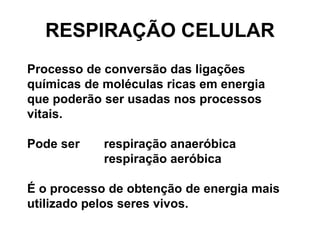 RESPIRAÇÃO CELULAR
Processo de conversão das ligações
químicas de moléculas ricas em energia
que poderão ser usadas nos processos
vitais.
Pode ser respiração anaeróbica
respiração aeróbica
É o processo de obtenção de energia mais
utilizado pelos seres vivos.
 