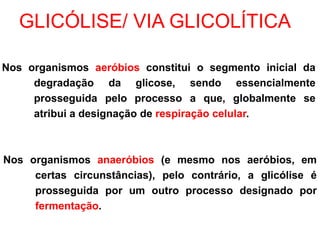 Nos organismos anaeróbios (e mesmo nos aeróbios, em
certas circunstâncias), pelo contrário, a glicólise é
prosseguida por um outro processo designado por
fermentação.
GLICÓLISE/ VIA GLICOLÍTICA
Nos organismos aeróbios constitui o segmento inicial da
degradação da glicose, sendo essencialmente
prosseguida pelo processo a que, globalmente se
atribui a designação de respiração celular.
 