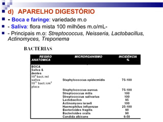  d) APARELHO DIGESTÓRIO
 - Boca e faringe: variedade m.o
 - Saliva: flora mista 100 milhões m.o/mL-
 - Principais m.o: Streptococcus, Neisseria, Lactobacillus,
Actinomyces, Treponema
 