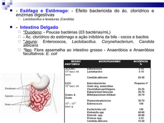 Fabiana G. S. Pinto
 - Esôfago e Estômago: - Efeito bactericida do ác. clorídrico e
enzimas digestivas
 Lactobacillus e leveduras (Candida)
 - Intestino Delgado
 *Duodeno: - Poucas bactérias (03 bactérias/mL)
 - Ác. clorídrico do estómago e ação inibitória da bile - cocos e bacilos
 *Jejuno: Enterococos, Lactobacillus. Corynehacterium, Candida
albicans
 *Ileo: Flora assemelha ao intestino grosso - Anaeróbios e Anaeróbios
facultativos: E. coli
 