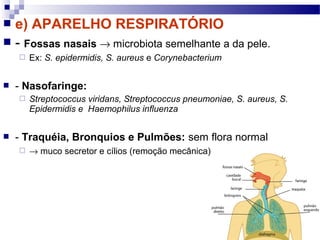  e) APARELHO RESPIRATÓRIO
 - Fossas nasais → microbiota semelhante a da pele.
 Ex: S. epidermidis, S. aureus e Corynebacterium
 - Nasofaringe:
 Streptococcus viridans, Streptococcus pneumoniae, S. aureus, S.
Epidermidis e Haemophilus influenza
 - Traquéia, Bronquios e Pulmões: sem flora normal
 → muco secretor e cílios (remoção mecânica)
 