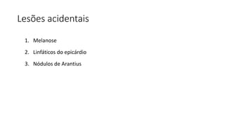 Lesões acidentais
1. Melanose
2. Linfáticos do epicárdio
3. Nódulos de Arantius
 