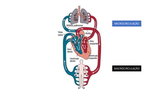 MICROCIRCULAÇÃO
MACROCIRCULAÇÃO
 
