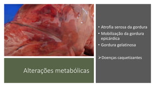 Alterações metabólicas
• Atrofia serosa da gordura
• Mobilização da gordura
epicárdica
• Gordura gelatinosa
Doenças caquetizantes
 