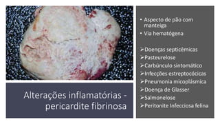 Alterações inflamatórias -
pericardite fibrinosa
• Aspecto de pão com
manteiga
• Via hematógena
Doenças septicêmicas
Pasteurelose
Carbúnculo sintomático
Infecções estreptocócicas
Pneumonia micoplásmica
Doença de Glasser
Salmonelose
Peritonite Infecciosa felina
 