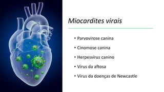 Miocardites virais
• Parvovirose canina
• Cinomose canina
• Herpesvírus canino
• Vírus da aftosa
• Vírus da doenças de Newcastle
 