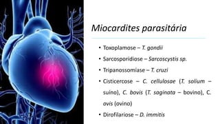 Miocardites parasitária
• Toxoplamose – T. gondii
• Sarcosporidiose – Sarcoscystis sp.
• Tripanossomíase – T. cruzi
• Cisticercose – C. cellulosae (T. solium –
suíno), C. bovis (T. saginata – bovino), C.
ovis (ovino)
• Dirofilariose – D. immitis
 