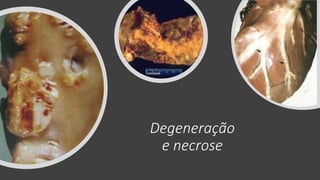 Degeneração
e necrose
 