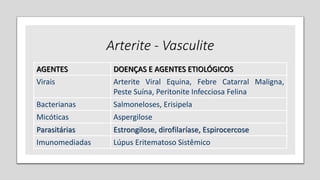Arterite - Vasculite
AGENTES DOENÇAS E AGENTES ETIOLÓGICOS
Virais Arterite Viral Equina, Febre Catarral Maligna,
Peste Suína, Peritonite Infecciosa Felina
Bacterianas Salmoneloses, Erisipela
Micóticas Aspergilose
Parasitárias Estrongilose, dirofilaríase, Espirocercose
Imunomediadas Lúpus Eritematoso Sistêmico
 