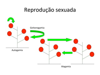 Reprodução	
  sexuada	
  
Alogamia	
  
Autogamia	
  
Geitonogamia	
  
 