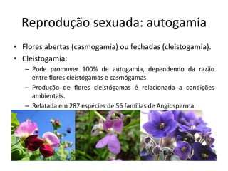 Reprodução	
  sexuada:	
  autogamia	
  
•  Flores	
  abertas	
  (casmogamia)	
  ou	
  fechadas	
  (cleistogamia).	
  
•  Cleistogamia:	
  
–  Pode	
   promover	
   100%	
   de	
   autogamia,	
   dependendo	
   da	
   razão	
  
entre	
  ﬂores	
  cleistógamas	
  e	
  casmógamas.	
  
–  Produção	
   de	
   ﬂores	
   cleistógamas	
   é	
   relacionada	
   a	
   condições	
  
ambientais.	
  
–  Relatada	
  em	
  287	
  espécies	
  de	
  56	
  famílias	
  de	
  Angiosperma.	
  
 