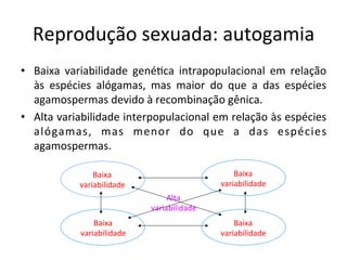 Reprodução	
  sexuada:	
  autogamia	
  
•  Baixa	
   variabilidade	
   gené8ca	
   intrapopulacional	
   em	
   relação	
  
às	
   espécies	
   alógamas,	
   mas	
   maior	
   do	
   que	
   a	
   das	
   espécies	
  
agamospermas	
  devido	
  à	
  recombinação	
  gênica.	
  
•  Alta	
  variabilidade	
  interpopulacional	
  em	
  relação	
  às	
  espécies	
  
alógamas,	
   mas	
   menor	
   do	
   que	
   a	
   das	
   espécies	
  
agamospermas.	
  
Baixa	
  
variabilidade	
  
Baixa	
  
variabilidade	
  
Baixa	
  
variabilidade	
  
Baixa	
  
variabilidade	
  
Alta	
  
variabilidade	
  
 