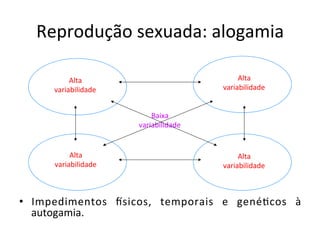 Reprodução	
  sexuada:	
  alogamia	
  
	
  
	
  
•  Impedimentos	
   hsicos,	
   temporais	
   e	
   gené8cos	
   à	
  
autogamia.	
  
Alta	
  
variabilidade	
  
Alta	
  
variabilidade	
  
Alta	
  
variabilidade	
  
Alta	
  
variabilidade	
  
Baixa	
  
variabilidade	
  
 